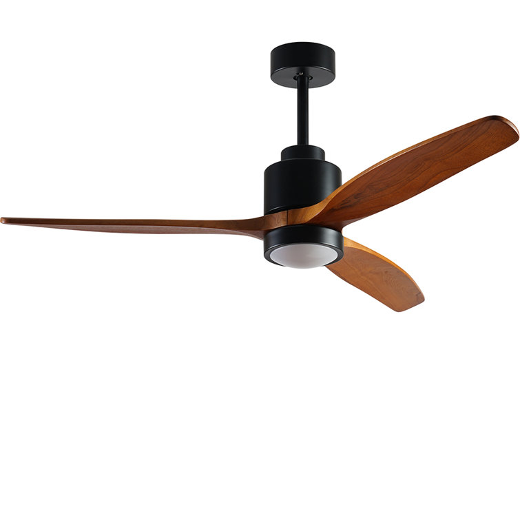 Modern Habitat Auravista 52 In. Indoor Rhode Island Walnut Ceiling Fan